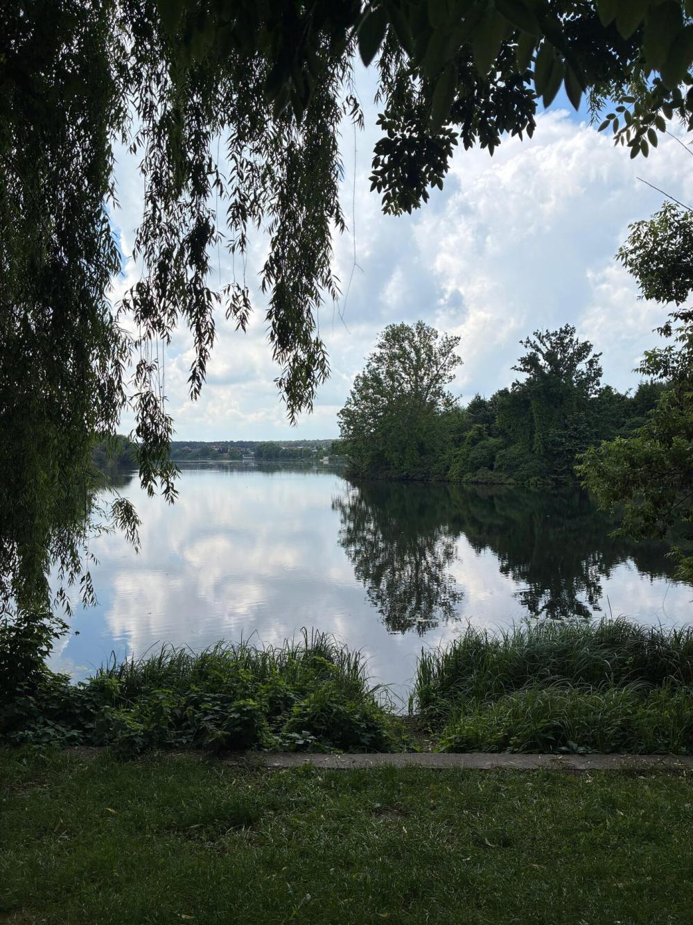 Lac cu salcie și vegetație de mal — peisaj albastru-verde