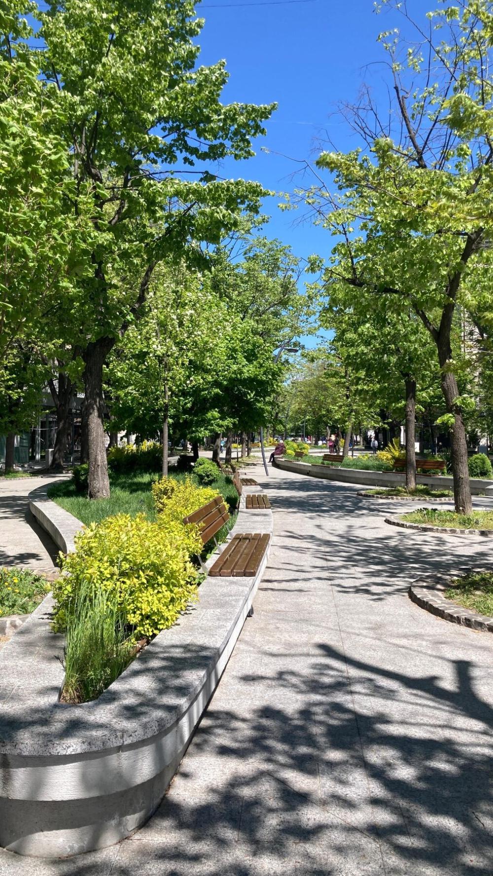 Spațiu public urban cu arbori, mobilier și plantare