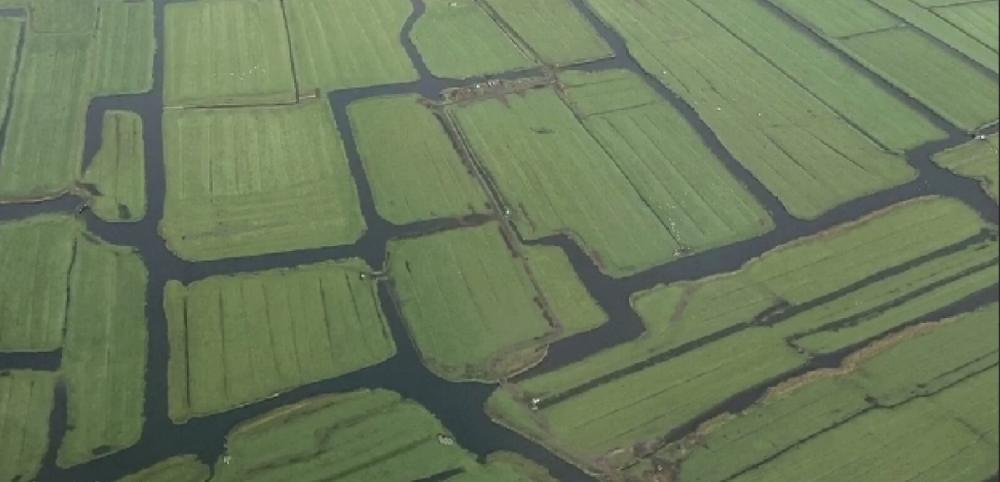 Vedere aeriană a unui peisaj de poldere cu canale de apă — fotografie de Raluca Mihai, coperta broșurii IFLA Europe